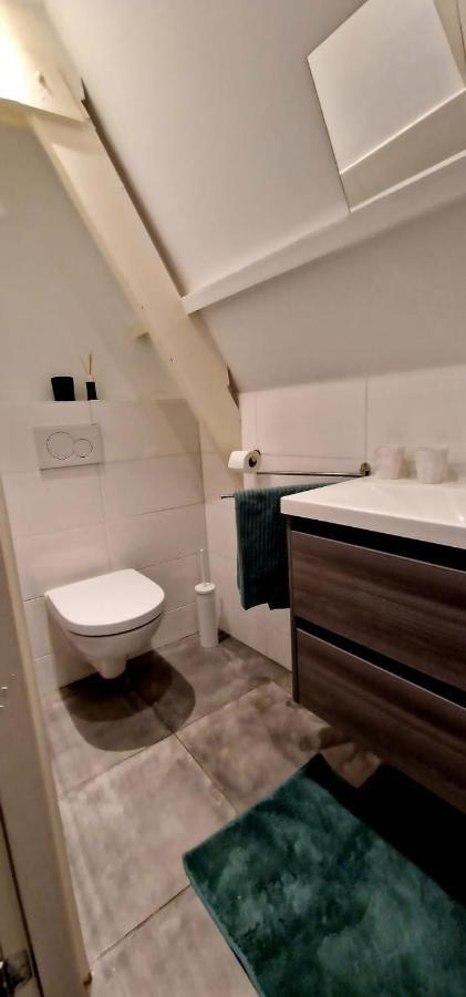Zini B&B Haarlem Dış mekan fotoğraf